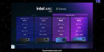 Новини, ціна та характеристики відеокарт Arc Pro B65 і Arc Pro B70 від Intel.
